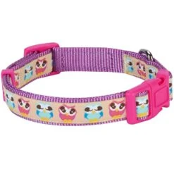 Flamingo Ladybug Dog Collar Summer Tropical Palm Leaves -Dog & Cat Store 11140284042 4