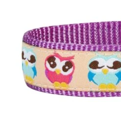 Flamingo Ladybug Dog Collar Summer Tropical Palm Leaves -Dog & Cat Store 11140284042 5