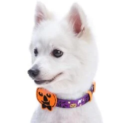 Halloween Dog Collar With Pumpkin, Skull, Bats And Spiders Design