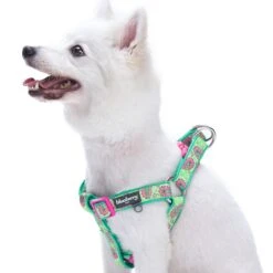 Paisley Print Padded Dog Harness For Stylish Comfort -Dog & Cat Store 11160527044 1