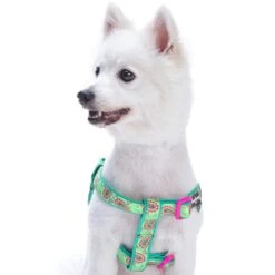 Paisley Print Padded Dog Harness For Stylish Comfort -Dog & Cat Store 11160527044 2