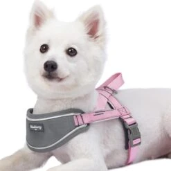 Easy On/Off Soft 3M Reflective Striped Dog Harness -Dog & Cat Store 11160545048 1