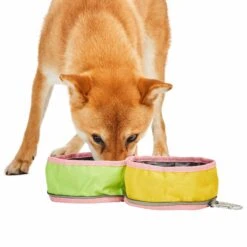 Collapsible Dog Travel Bowl For On-The-Go Hydration
