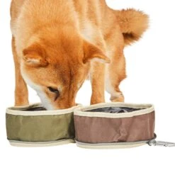 Collapsible Dog Travel Bowl For On-The-Go Hydration -Dog & Cat Store 1120101000 3 1