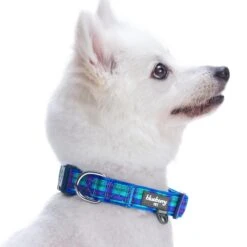Plaid Pattern Neoprene Padded Dog Collar For Stylish Pets -Dog & Cat Store 11240204049 2 c1ce6d57 e000 4758 9719 5d2965946ad0