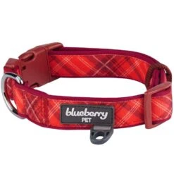 Plaid Pattern Neoprene Padded Dog Collar For Stylish Pets -Dog & Cat Store 11240205046 1 b85f1d79 ec40 4deb ba5d 1cc4aec92bc4