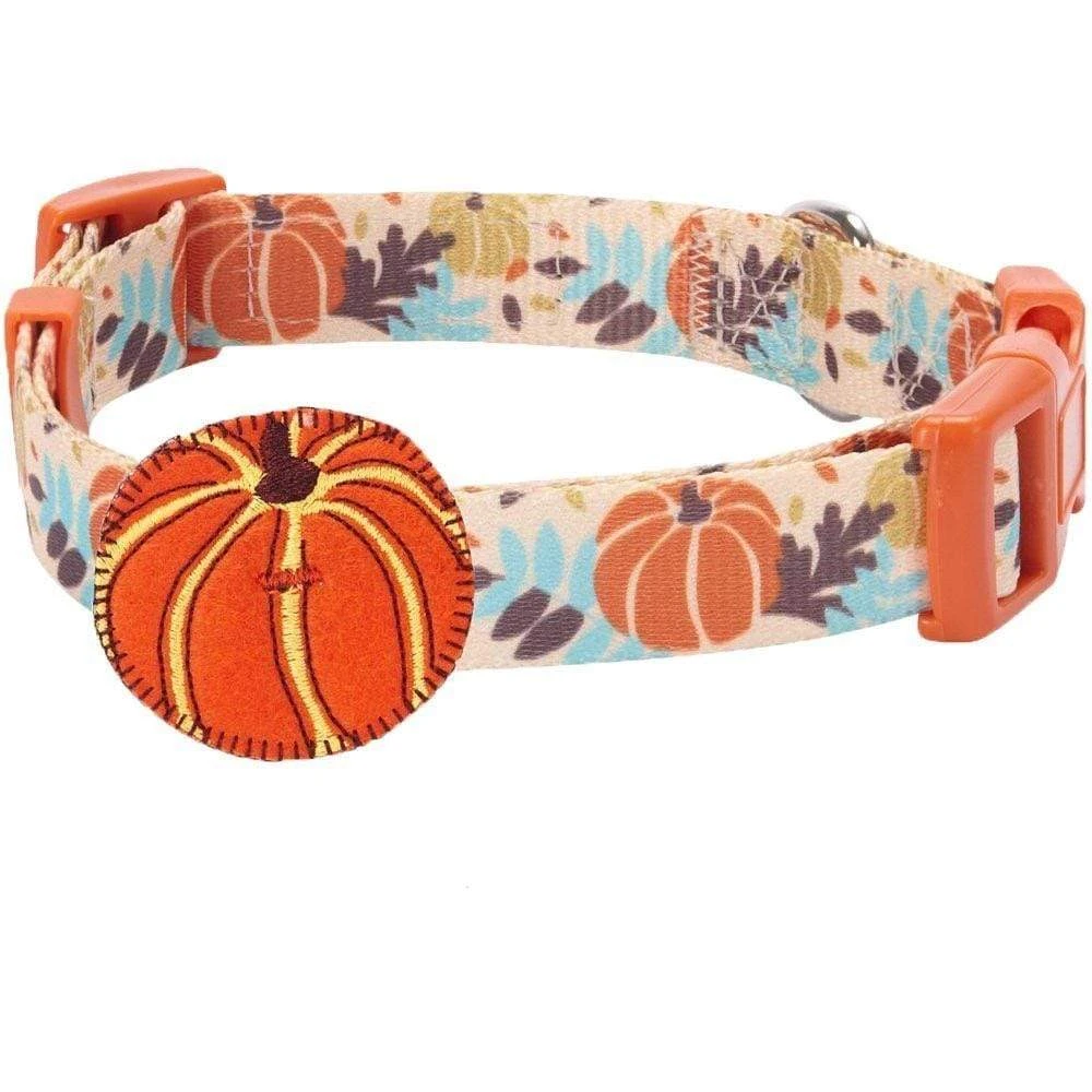 Fall Pumpkin Thanksgiving Dog Collar For Festive Pets 5 Fall Pumpkin Thanksgiving Dog Collar For Festive Pets - Image 5