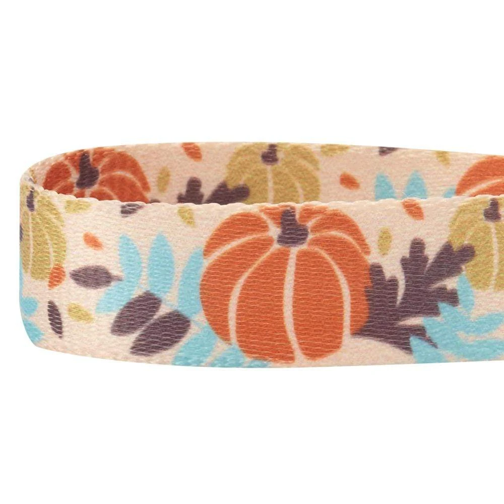Fall Pumpkin Thanksgiving Dog Collar For Festive Pets 8 Fall Pumpkin Thanksgiving Dog Collar For Festive Pets - Image 8