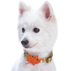Fall Maple Leaf And Turkey Thanksgiving Dog Collar For Pets