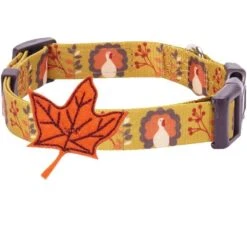 Fall Maple Leaf And Turkey Thanksgiving Dog Collar For Pets -Dog & Cat Store 11240208047 3 8ae2273c 9fa4 4994 9acb d009daad2b8e