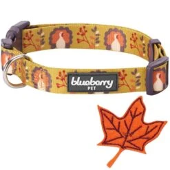 Fall Maple Leaf And Turkey Thanksgiving Dog Collar For Pets -Dog & Cat Store 11240208047 4 12ac6f05 fb36 46f3 9c75 12310238aa22