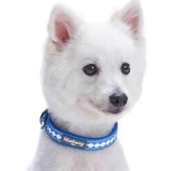 Jacquard Dog Collar With 3M Reflective Neoprene Padding 33 Jacquard Dog Collar With 3M Reflective Neoprene Padding -Dog & Cat Store 1140208048 3 372d36e2 ef16 450b b481 4a9ce74bd1b8