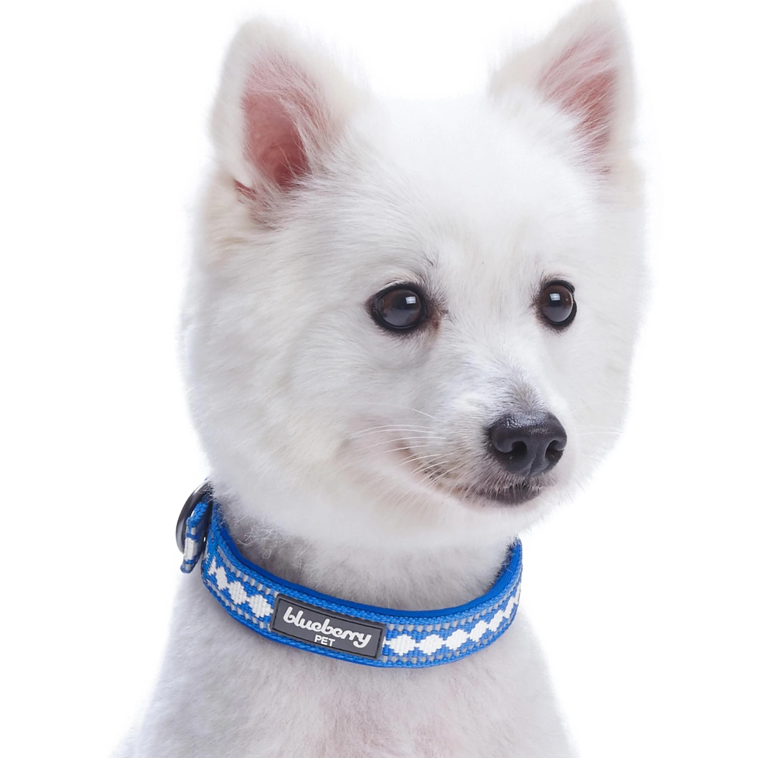 Jacquard Dog Collar With 3M Reflective Neoprene Padding 14 Jacquard Dog Collar With 3M Reflective Neoprene Padding - Image 14