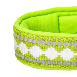 Jacquard Dog Collar With 3M Reflective Neoprene Padding 39 Jacquard Dog Collar With 3M Reflective Neoprene Padding -Dog & Cat Store 1140209045 5 21aaca7c 2d82 4590 852f 6e9705fe36f6