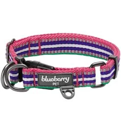 3M Reflective Dog Collar In Multi-colored Stripes For Safety -Dog & Cat Store 1140219044 1 14cfee56 8362 4716 a1a7 2455fc3ae364