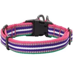 3M Reflective Dog Collar In Multi-colored Stripes For Safety -Dog & Cat Store 1140219044 2 862d34f8 5367 42b4 9145 fa7a9cd03db5
