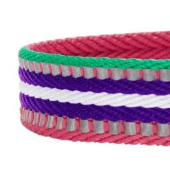 3M Reflective Dog Collar In Multi-colored Stripes For Safety -Dog & Cat Store 1140219044 4 38243654 78d8 4f9b a2eb 62b4f68fcd58