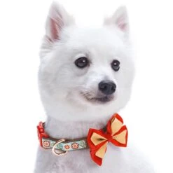 Moments Of Joy Christmas Dog Collar For Festive Pets -Dog & Cat Store 1140226042 2 5c49a8f2 14f1 4e04 b554 0716b6617077