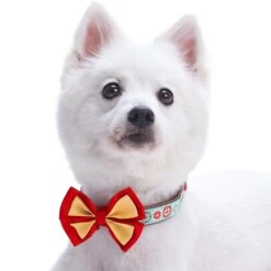 Moments Of Joy Christmas Dog Collar For Festive Pets -Dog & Cat Store 1140226042 3 b1e59c3c c475 4221 9233 6a34af51a234