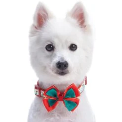 Moments Of Joy Christmas Dog Collar For Festive Pets -Dog & Cat Store 1140227049 3