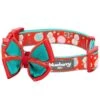 Moments Of Joy Christmas Dog Collar For Festive Pets -Dog & Cat Store 1140229043 1