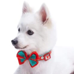Moments Of Joy Christmas Dog Collar For Festive Pets -Dog & Cat Store 1140229043 3