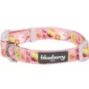 Easter Spring Dog Collar With Colorful Prints And Comfort 40 Easter Spring Dog Collar With Colorful Prints And Comfort -Dog & Cat Store 1140247047 1