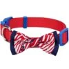 Artistic American Flag Bowtie Dog Collar For Patriotic Pups -Dog & Cat Store 1140260046 1 b7a2ec1c 7e48 4e2f 9e0b 9b38dfb881c2