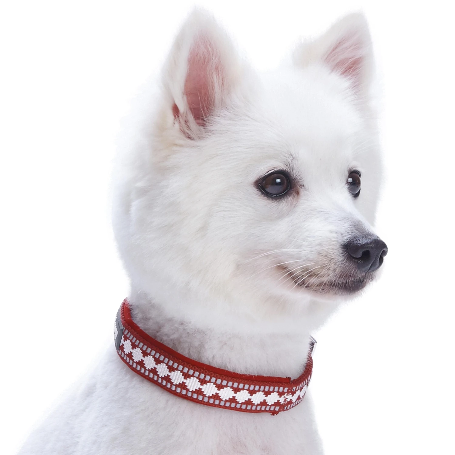 Jacquard Dog Collar With 3M Reflective Neoprene Padding 3 Jacquard Dog Collar With 3M Reflective Neoprene Padding - Image 3