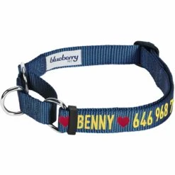 Nylon Personalized Martingale Safety Training Dog Collar Blue -Dog & Cat Store 1140803045 1 1