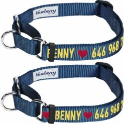Nylon Personalized Martingale Safety Training Dog Collar Blue -Dog & Cat Store 1140803045 1 2 ed4308c9 9198 41f2 b8a3 f34da9af3722