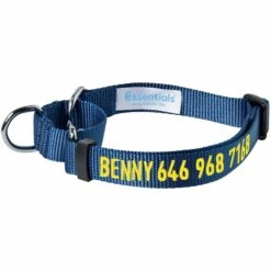 Nylon Personalized Martingale Safety Training Dog Collar Blue -Dog & Cat Store 1140803045 1 8ff45a5c a8a9 42ea b8a5 352edc076285