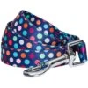 Rainbow Polka Dots Dog Leash For Stylish Pet Walks 28 Rainbow Polka Dots Dog Leash For Stylish Pet Walks -Dog & Cat Store 1150211045 1