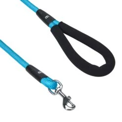 Nylon Dog Rope Leash With Neoprene Handle For Girl Boy, 4ft Blue Pink -Dog & Cat Store 1150216064 2