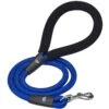 Nylon Dog Rope Leash With Neoprene Handle For Girl Boy, 4ft Blue Pink