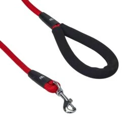 Nylon Dog Rope Leash With Neoprene Handle For Girl Boy, 4ft Blue Pink -Dog & Cat Store 1150218068 2