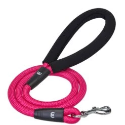 Nylon Dog Rope Leash With Neoprene Handle For Girl Boy, 4ft Blue Pink -Dog & Cat Store 1150219065 1