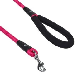 Nylon Dog Rope Leash With Neoprene Handle For Girl Boy, 4ft Blue Pink -Dog & Cat Store 1150219065 2
