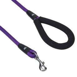 Nylon Dog Rope Leash With Neoprene Handle For Girl Boy, 4ft Blue Pink -Dog & Cat Store 1150221068 2