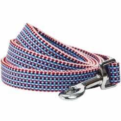 Multicolor Braids Dog Leash For Stylish Pet Walks