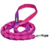 Iconic Hand Braided Double-Weave Dog Rope Leash 4 Ft -Dog & Cat Store 1150235089 1