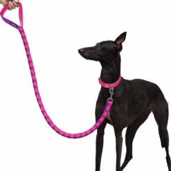 Iconic Hand Braided Double-Weave Dog Rope Leash 4 Ft -Dog & Cat Store 1150235089 4