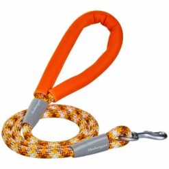 Neoprene Handle Rope Leash In Diagonal Stripe, 4 Ft Long