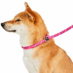 Slip Lead Rope Dog Leash 6 Ft With Neoprene Handle 14 Slip Lead Rope Dog Leash 6 Ft With Neoprene Handle -Dog & Cat Store 1150250068 3 4178d3f7 d4f4 489f aa32 07b738f99d18