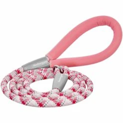 Slip Lead Rope Dog Leash 6 Ft With Neoprene Handle 18 Slip Lead Rope Dog Leash 6 Ft With Neoprene Handle -Dog & Cat Store 1150251065 1 098113ac 3ff9 472e 8841 35576e5b3cae