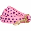 Dotted Velvet Heart Dog Leash For Stylish Pet Walks -Dog & Cat Store 1150252048 1 d8b610b7 d36d 42dd ac31 b914830875eb