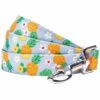 Zesty Fruit Dog Leash With Comfortable Padded Handle -Dog & Cat Store 1150259047 1 35254da8 a6b9 4bc1 983a 80458051e114