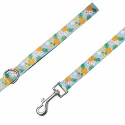 Zesty Fruit Dog Leash With Comfortable Padded Handle -Dog & Cat Store 1150259047 3 56d416c7 35a6 4eeb 8da2 0a4c1e673d28