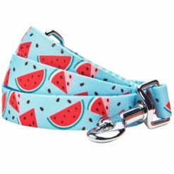 Zesty Fruit Dog Leash With Comfortable Padded Handle -Dog & Cat Store 1150260043 1 7aca2052 5553 46a5 a0e0 12746f3dfbcd