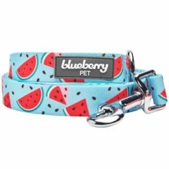 Zesty Fruit Dog Leash With Comfortable Padded Handle -Dog & Cat Store 1150260043 2 b2d75c11 7ae8 4b64 891e e5f4f577456a